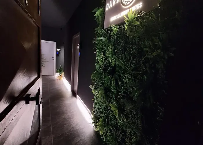 Dark & Light Rooms & Luxury Suites